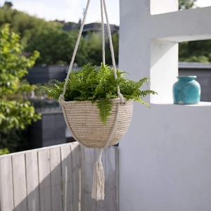 Hanging woven plant basket with boho tassels and lush green ferns on a sunny balcony