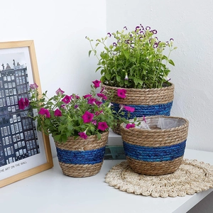 Set of three seagrass plant baskets with blue weave accents and waterproof liners