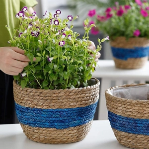Detail of hand-woven seagrass planter with blue stripe pattern and waterproof plastic liner