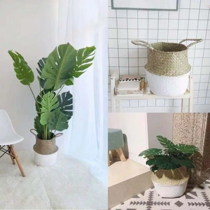 Handwoven seagrass belly basket with white dipped base and handles for plant storage