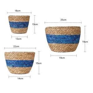 Set of three seagrass woven plant baskets with dimensions for home decor and storage