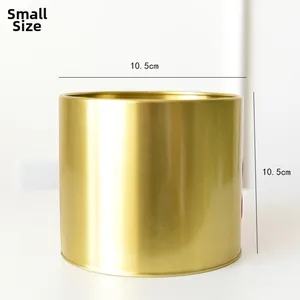 Detailed view of small gold metal planter with 10.5cm dimensions and brushed finish