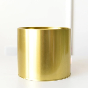 Modern minimalist cylinder metal flower pot in elegant polished gold finish