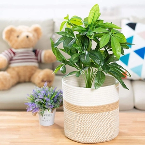 Detailed macro view of dual-tone cotton rope woven basket used as a decorative plant holder