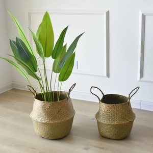 Natural seagrass belly baskets with handles used as decorative planters on wooden floor