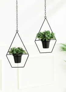 Modern black geometric hanging planter with metal wire frame and minimalist chain support