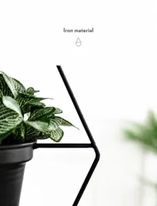Close-up of durable black iron hanging planter with green fittonia plant details