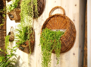 Detail of handmade wicker wall basket with plastic lining and natural willow texture