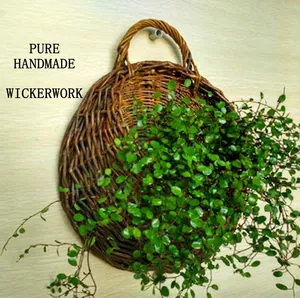 Handmade wicker wall hanging planter basket with lush green plants for home decor