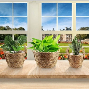 Set of three handmade woven grass plant baskets with handles and lush green plants
