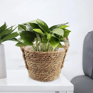 Handwoven seagrass plant basket with handles for indoor green plants decoration