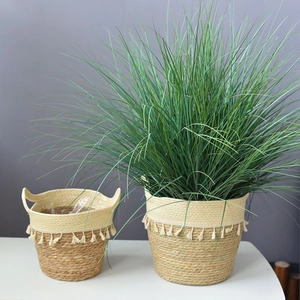Close-up of woven straw plant pot set with bohemian tassels and natural seagrass texture