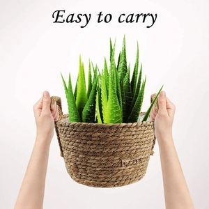 Handwoven straw plant basket with handles being carried for green plant storage