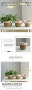 Size chart for handmade seagrass planters with dimensions from S to XL for indoor plants