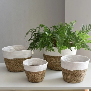 Handcrafted seagrass belly basket set with white weaving and waterproof lining for indoor plants