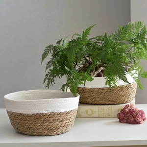 Handwoven seagrass and white cotton rope cylindrical planter basket for plants