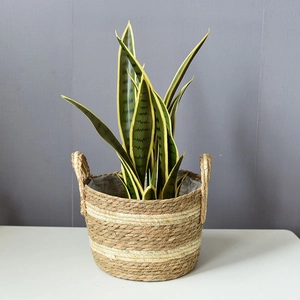 Close-up of handmade woven basket featuring natural fiber stripes and dual handles