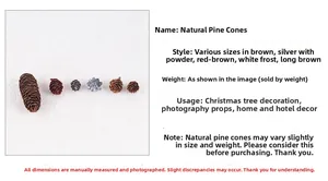 Detailed collection of frosted and natural pine cones for festive Christmas decoration and props