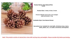 Macro shot of natural pine cones in various sizes for Christmas party rustic decoration
