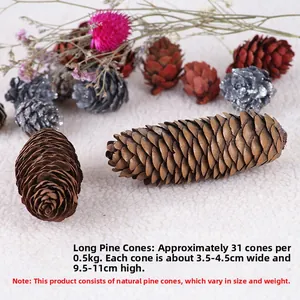 Detail view of large natural pine cones showing sizes and textures for Christmas decor