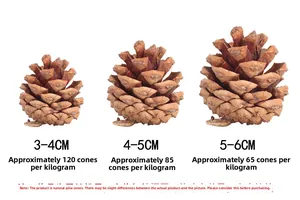 Size comparison of natural brown pine cones in 3-4cm, 4-5cm and 5-6cm for Christmas decor