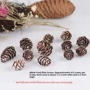 Close-up of frosted natural pine cones with size labels for Christmas decoration
