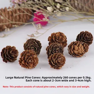Macro detail of natural brown pine cones showing wood texture and 2-4cm size dimensions