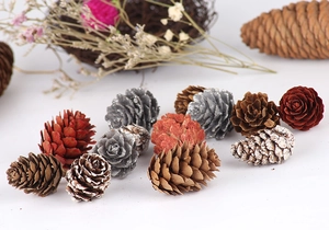 Detail of natural pine cones with frosted edges, silver coating, and red finish for Christmas