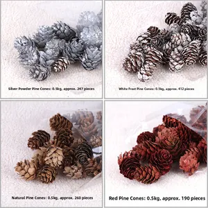 Detailed grid showing frosted, silver, red, and natural pine cones for Christmas decor