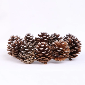 Close-up of natural pine cone Christmas wreath with white snow effect on white background
