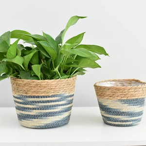 Handmade Seagrass Plant Basket Woven Indoor Planter Cover For Flower Pot Straw Storage Basket With Waterproof Lining Home Decor