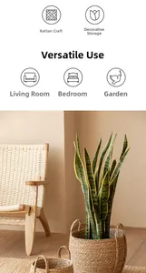 Detail of woven seagrass storage baskets with handles featuring a snake plant decoration