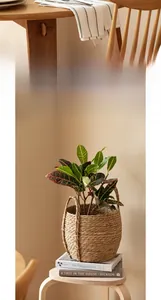 Close-up of hand-woven seagrass basket with sturdy handles and decorative green plant