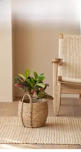 Detail of woven seagrass plant basket with dual handles and rustic natural fiber texture