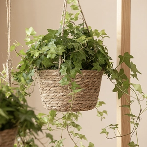 Cesta colgante tejida a mano con hiedra verde para decoración rústica de pared hogar