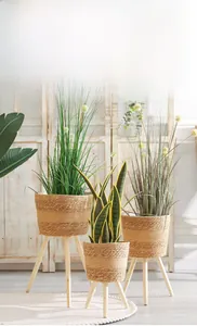 Three-piece set of woven seagrass planters with light wood tripod legs in Nordic style