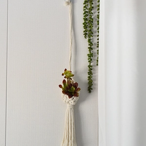 Detail of bohemian handmade cotton rope plant hanger with tassels and small green succulent