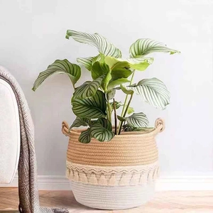 Nordic woven cotton rope laundry basket with tassels and dual handles for home storage