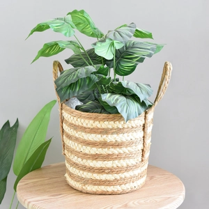 Detail of handwoven seagrass flower basket with dual handles and green leaf plant