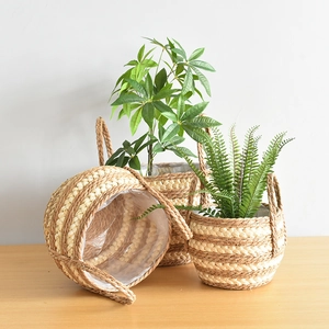 Close-up of three woven seagrass plant baskets with waterproof liners on a wooden table