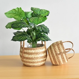 Close-up of seagrass woven baskets with handles, featuring natural striped texture and plant