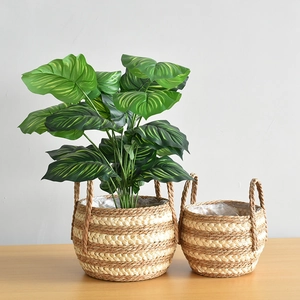Set of 2 woven seagrass planter baskets with handles and waterproof lining for indoor plants