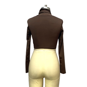 Back view of a coffee brown long sleeve turtleneck crop top on a mannequin