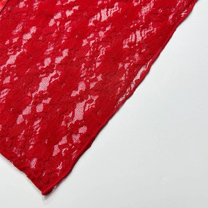 Detailed macro view of red floral lace fabric texture and fine stitching on a V-neck top