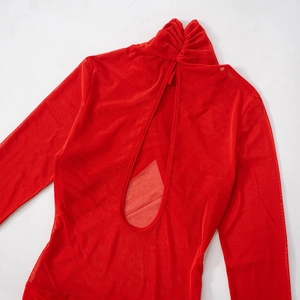 Detail of red mesh bodycon dress featuring high neck gathers and oval open back design