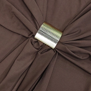 Detail of golden striped rectangular buckle on dark brown pleated knitted dress