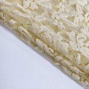 Détail du tissu en dentelle florale délicate avec une texture de maille en blanc crème