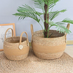 Handwoven seagrass plant basket set with gold accents and sturdy handles for home storage