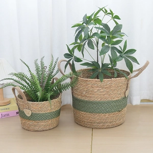 Detail of woven seagrass plant baskets with green accents and jute handles for home decor