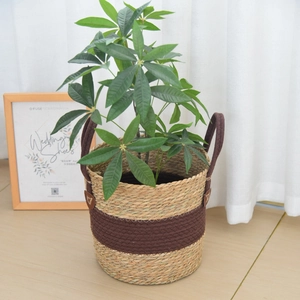 Detail of woven straw plant basket with brown dual handles and natural two-tone texture